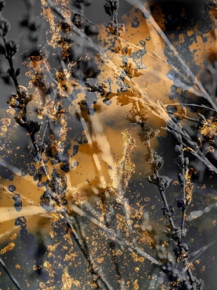 Picture of GOLD STICKS 1