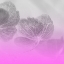 Picture of XRAY BOWL PINK