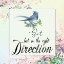 Picture of DIRECTION