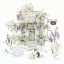 Picture of LAVENDER FIELD V