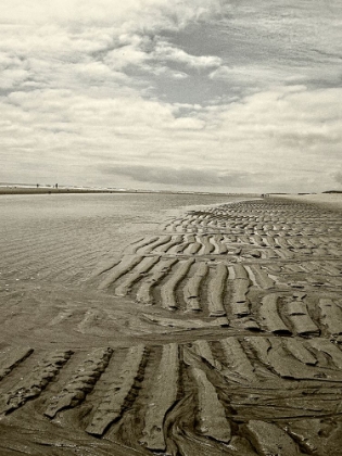 Picture of PLATINUM BEACH