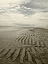 Picture of PLATINUM BEACH