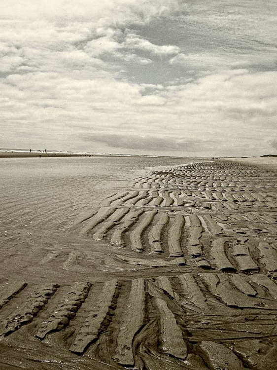 Picture of PLATINUM BEACH