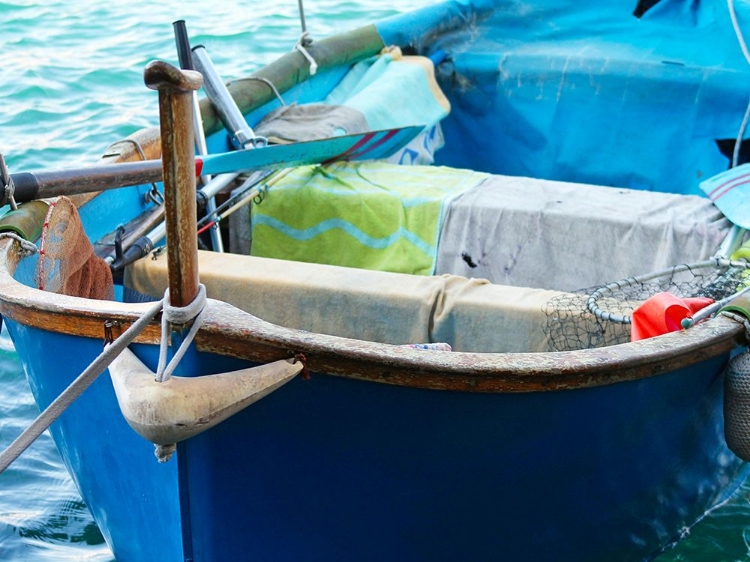 Picture of BLUE BOAT