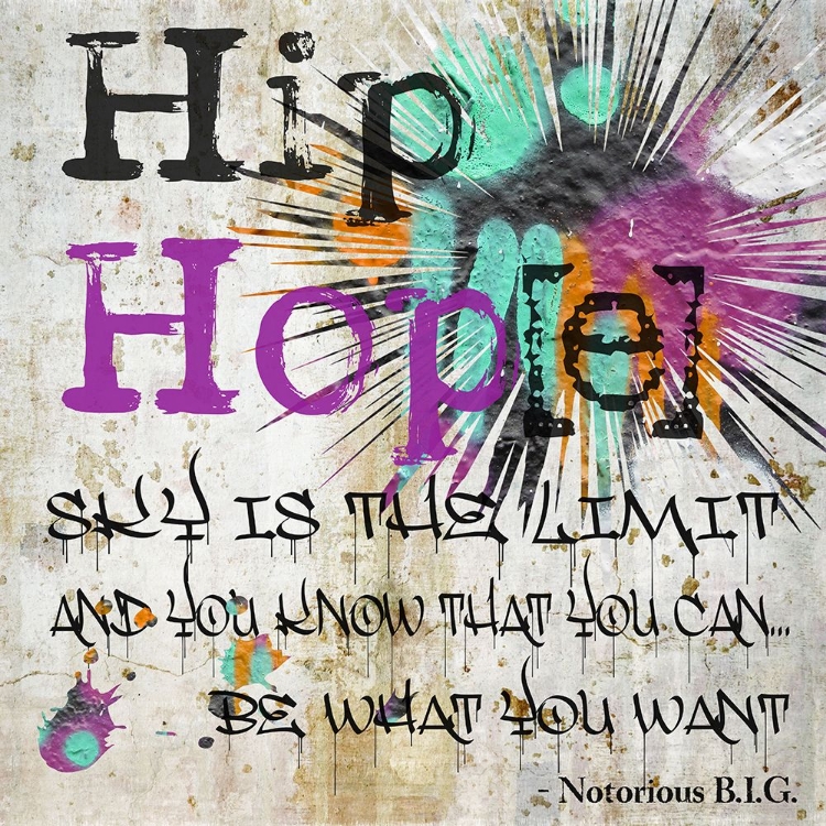 Picture of HIP HOPE SKYS THE LIMIT  NCRM