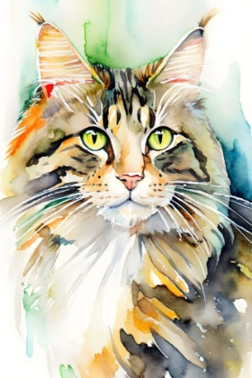 Picture of MAINE COON CAT GREEN