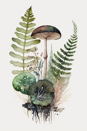 Picture of MUSHROOM AND FERN BOTANICAL 4