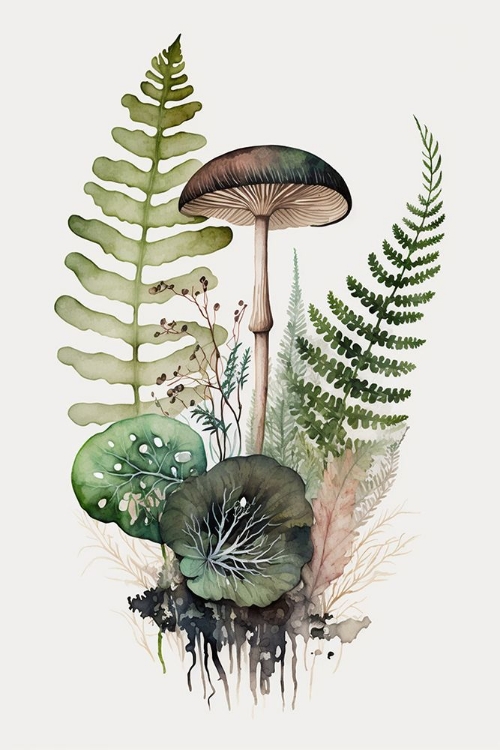 Picture of MUSHROOM AND FERN BOTANICAL 4