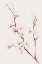 Picture of WATERCOLOR BLOSSOM 7