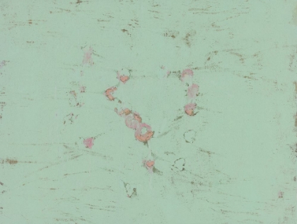Picture of PISTACHIO-R