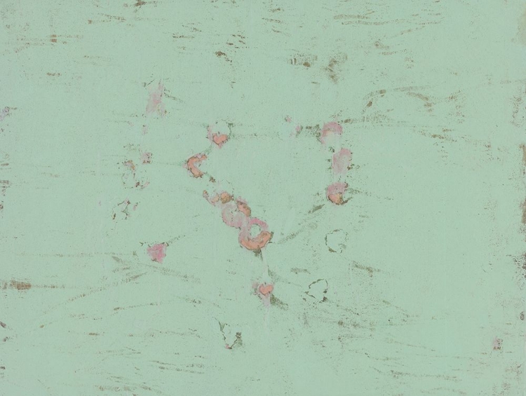 Picture of PISTACHIO-R