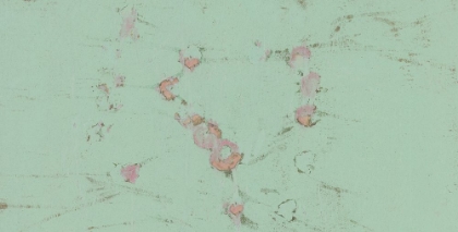 Picture of PISTACHIO-4L