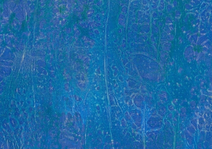 Picture of INTERTWINED-5L