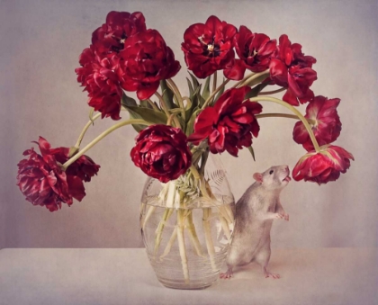 Picture of STILL LIFE WITH TULIPS