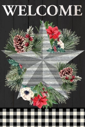Picture of CHRISTMAS STAR