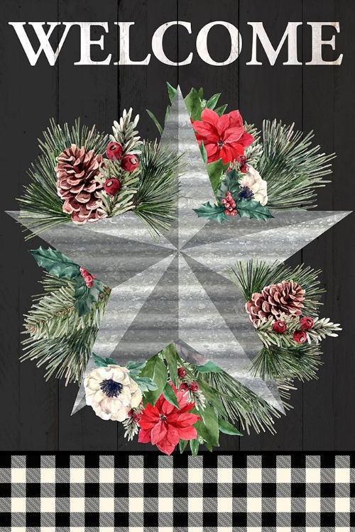 Picture of CHRISTMAS STAR
