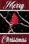 Picture of MERRY CHRISTMAS CARDINAL