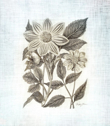 Picture of FARMHOUSE BOTANICAL 4