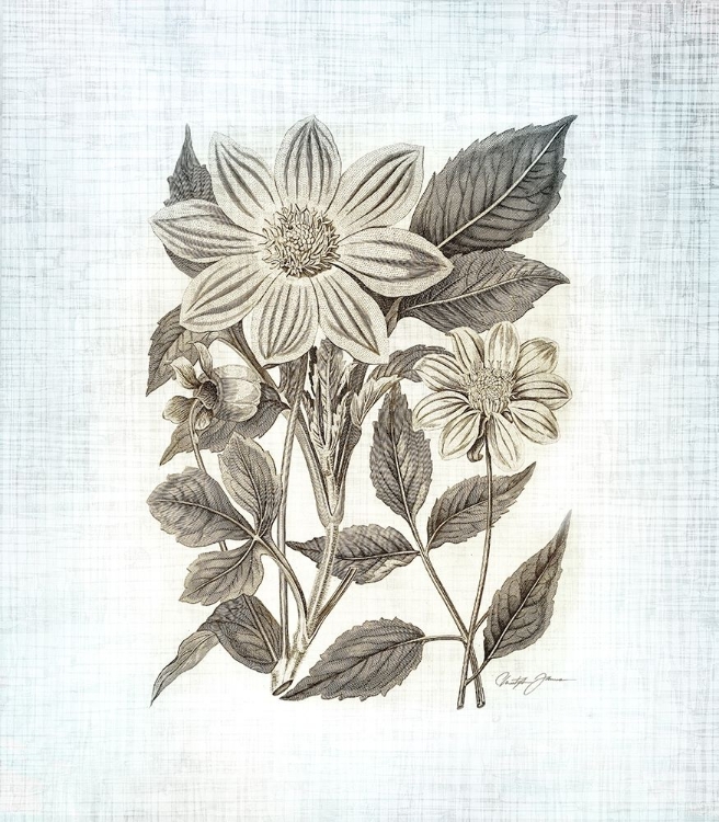 Picture of FARMHOUSE BOTANICAL 4