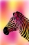 Picture of ZEBRA