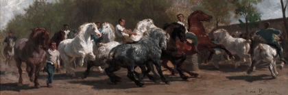 Picture of THE HORSE FAIR STUDY