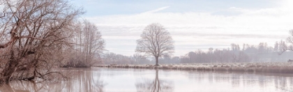 Picture of POND IN FOREST