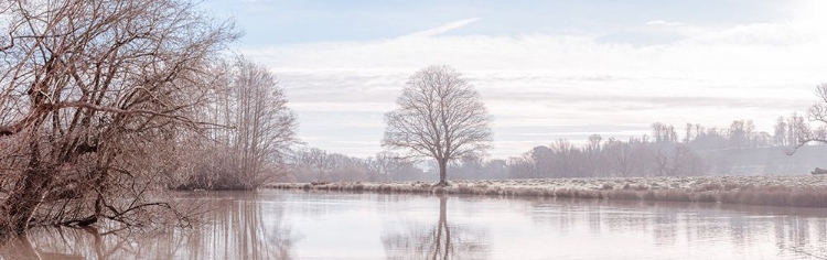 Picture of POND IN FOREST