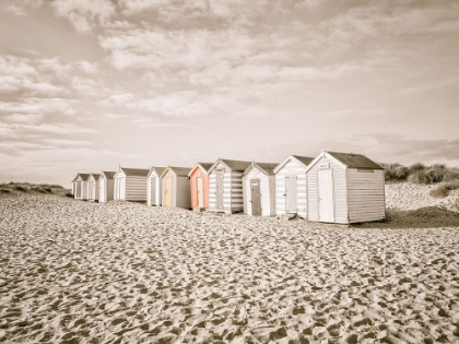 Picture of BEACH HUTS ON SANDY SEASHORE