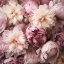 Picture of SOFT PEONIES 10