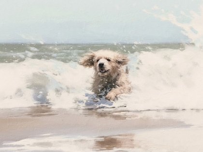 Picture of WAVE RUNNER