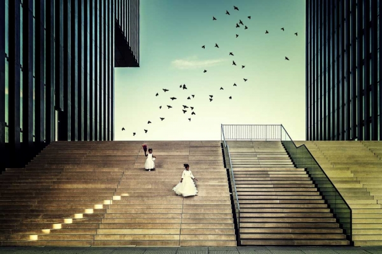 Picture of FREE LIKE A BIRD...