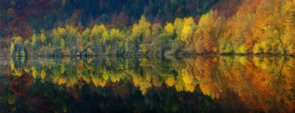 Picture of AUTUMNAL SILENCE