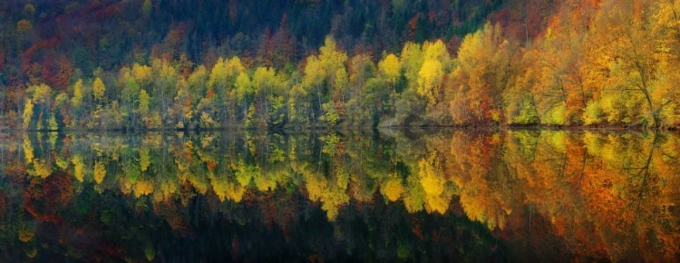 Picture of AUTUMNAL SILENCE