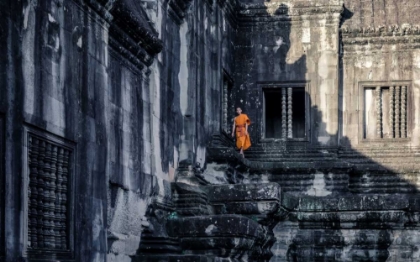 Picture of THE YOUNG MONK