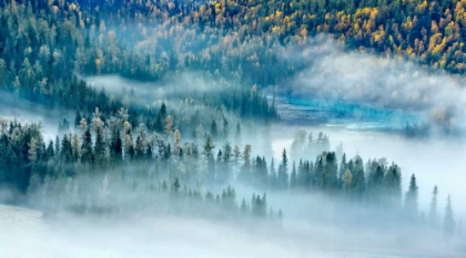 Picture of MAGIC BAY