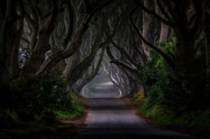 Picture of MAGIC ROAD