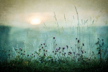Picture of AUTUMN SUNRISE