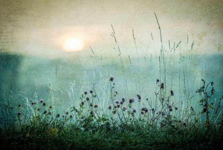Picture of AUTUMN SUNRISE