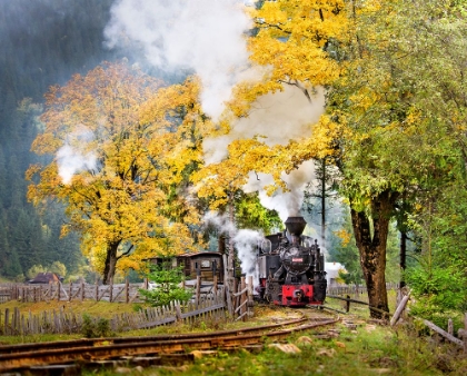 Picture of A SORT OF FAIRY TALE