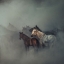 Picture of THE LOST HORSES