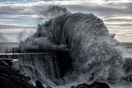 Picture of DANGER PIER