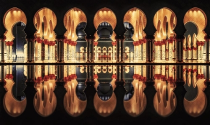 Picture of REFLECTIONS IN THE MOSQUE