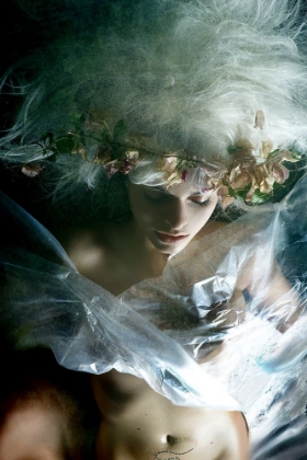 Picture of A MIDSUMMER NIGHTS DREAM
