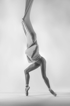Picture of COCOON