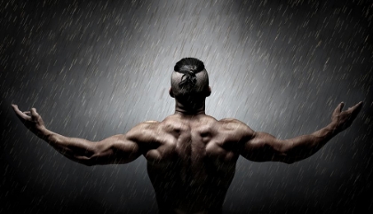 Picture of IGOR IN THE RAIN III