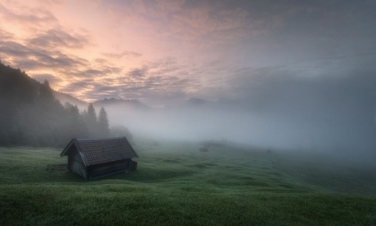 Picture of MORNING SILENCE