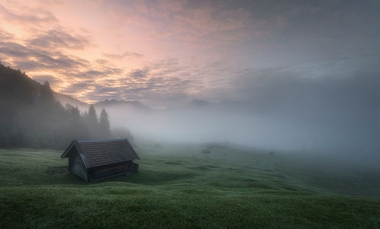 Picture of MORNING SILENCE