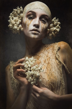 Picture of GOLDEN TEARS