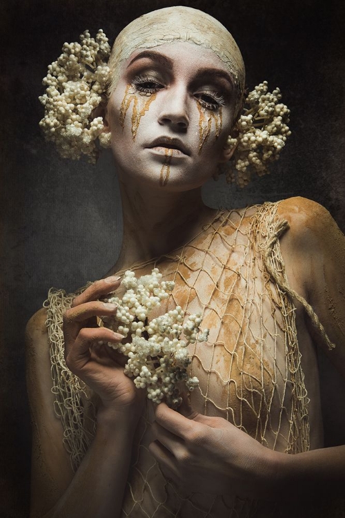 Picture of GOLDEN TEARS