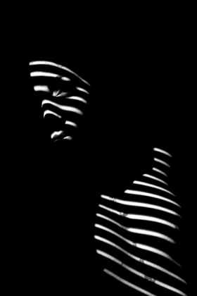 Picture of HAVE A LOOK